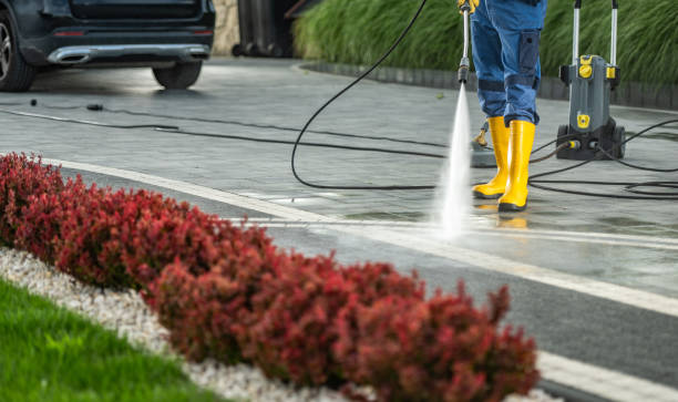 Best Exterior Home Cleaning  in Pukalani, HI